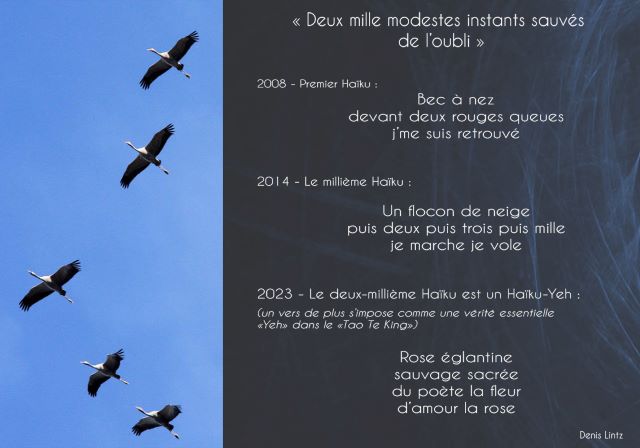 Deux-millième Haïku