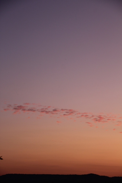 Haïku-poème, Haïsha