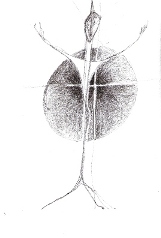 Ligne-art-Denis Lintz-Jean Christophe