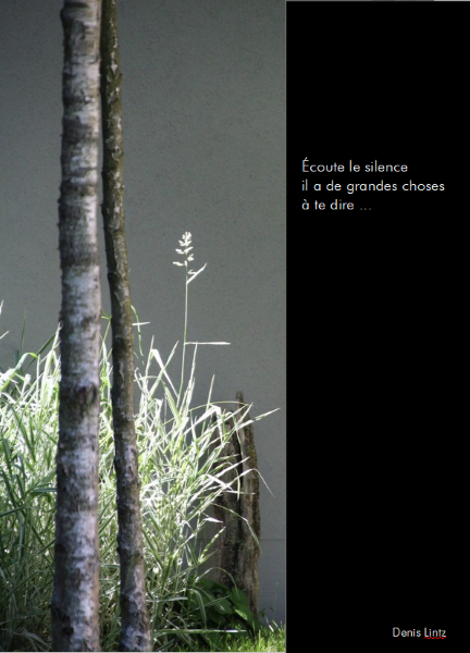 Ligne-art-Poésie - Ecoute le silence