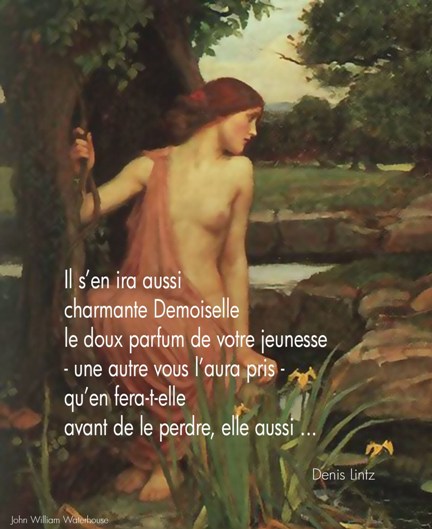 Ligne-art-Poésie- La beauté s'en ira aussi