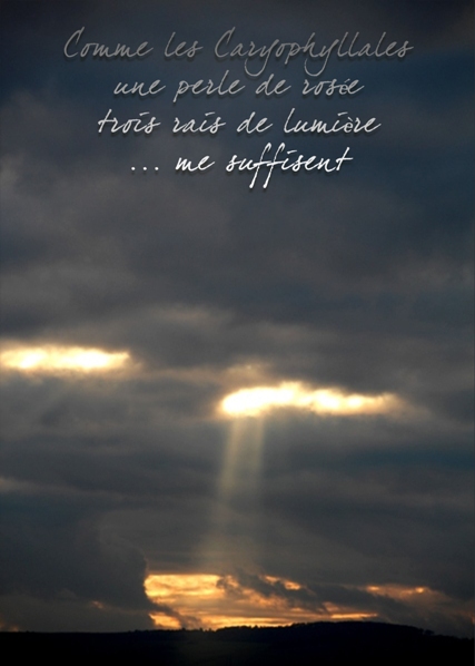 Ligne-art-Poésie-âme - Percée de lumière