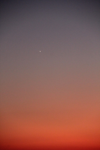 Haïku-poème, Haïsha