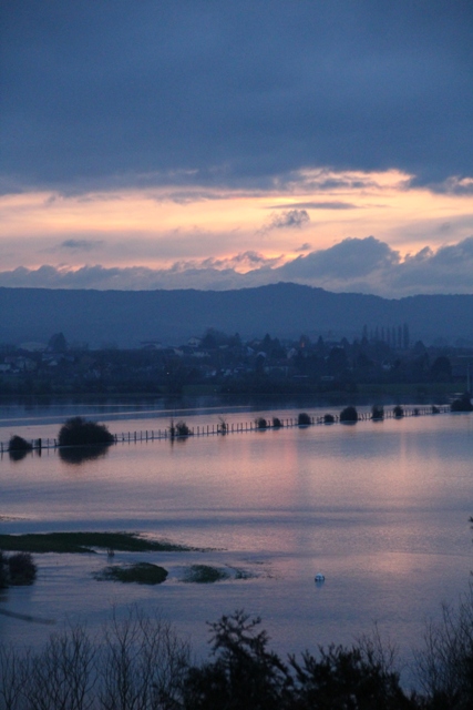 Haïku-poème, Haïsha