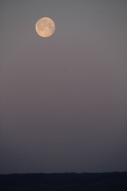 Haïku-poème, Haïsha