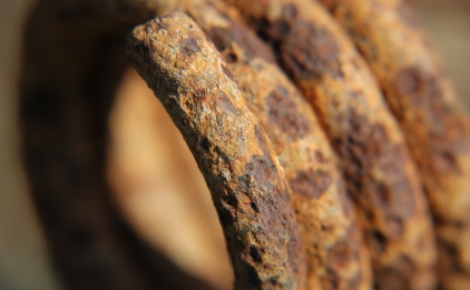 citations Denis Lintz