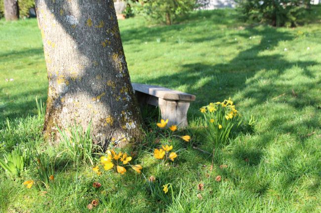 Ligne-art-Poésie - Le banc